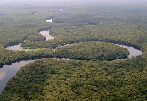 national parc Salonga Congo