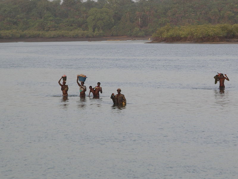 Guinea Bissau river
