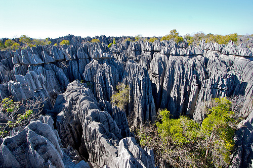 Bemaraha National Park Madagascar