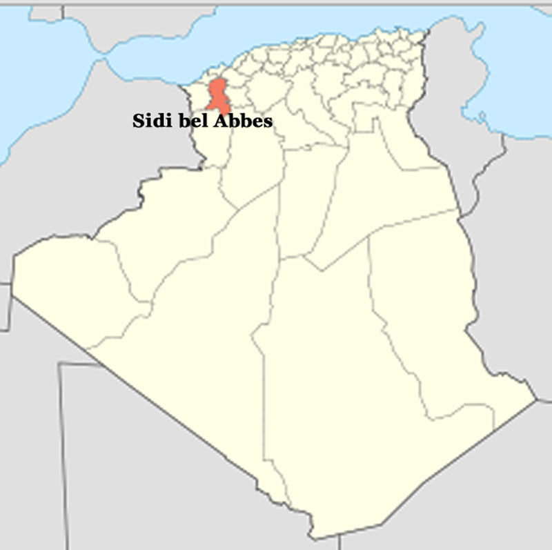 where is sidi bel abbes in algeria