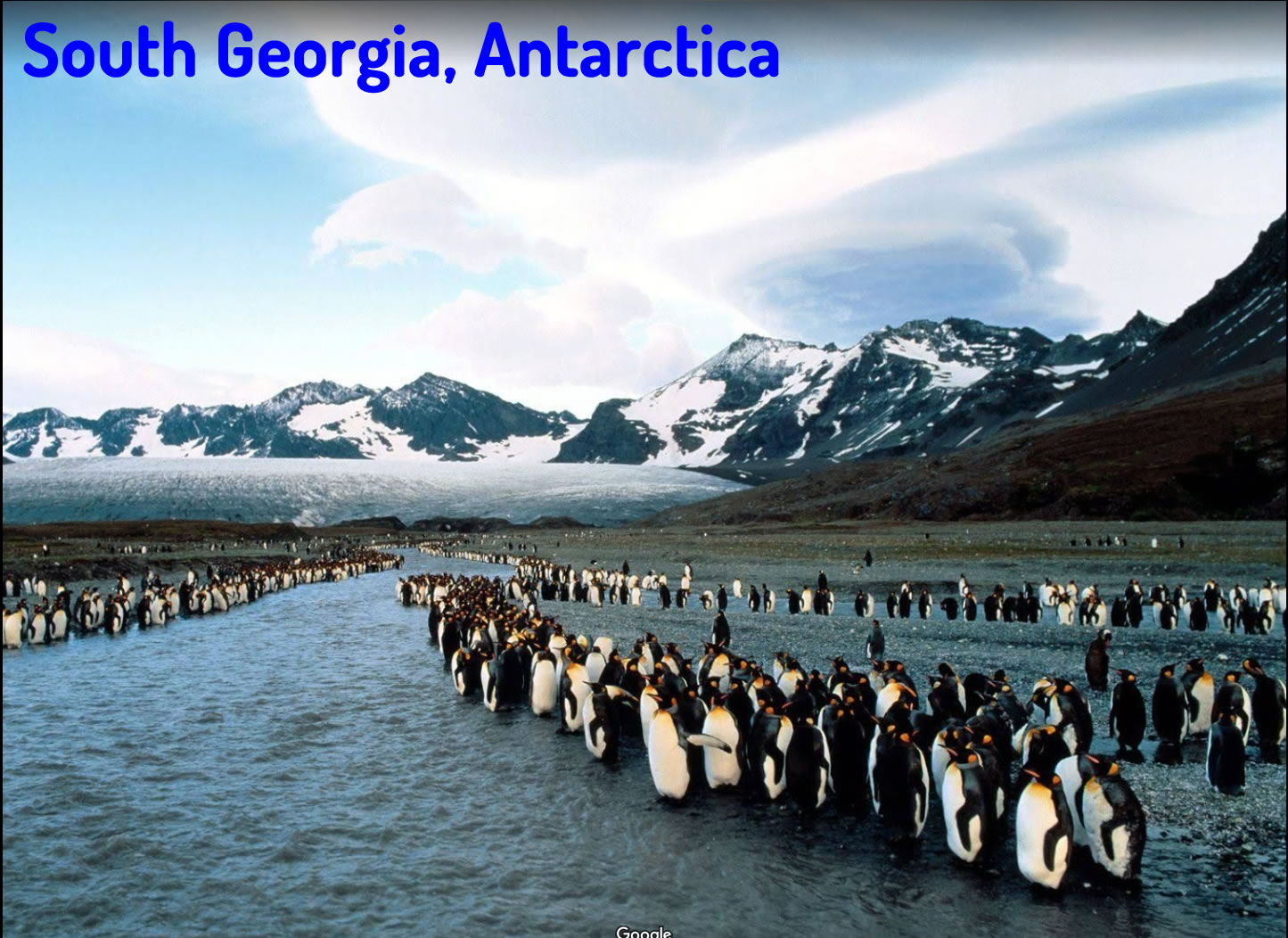 South Georgia Antarctica
