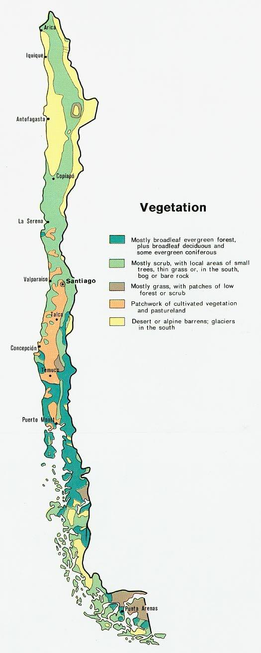 chile vegetation map