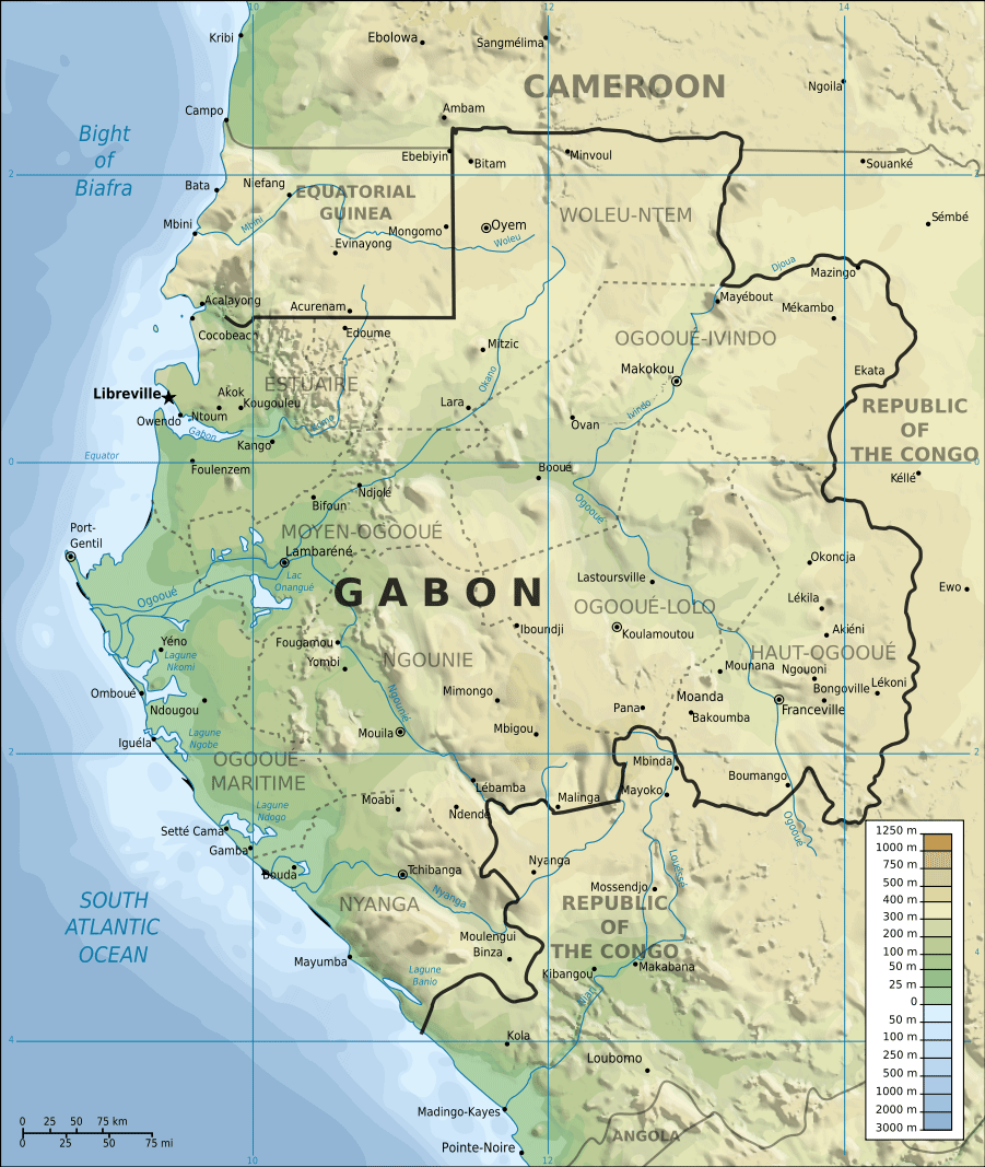 topographic map of gabon