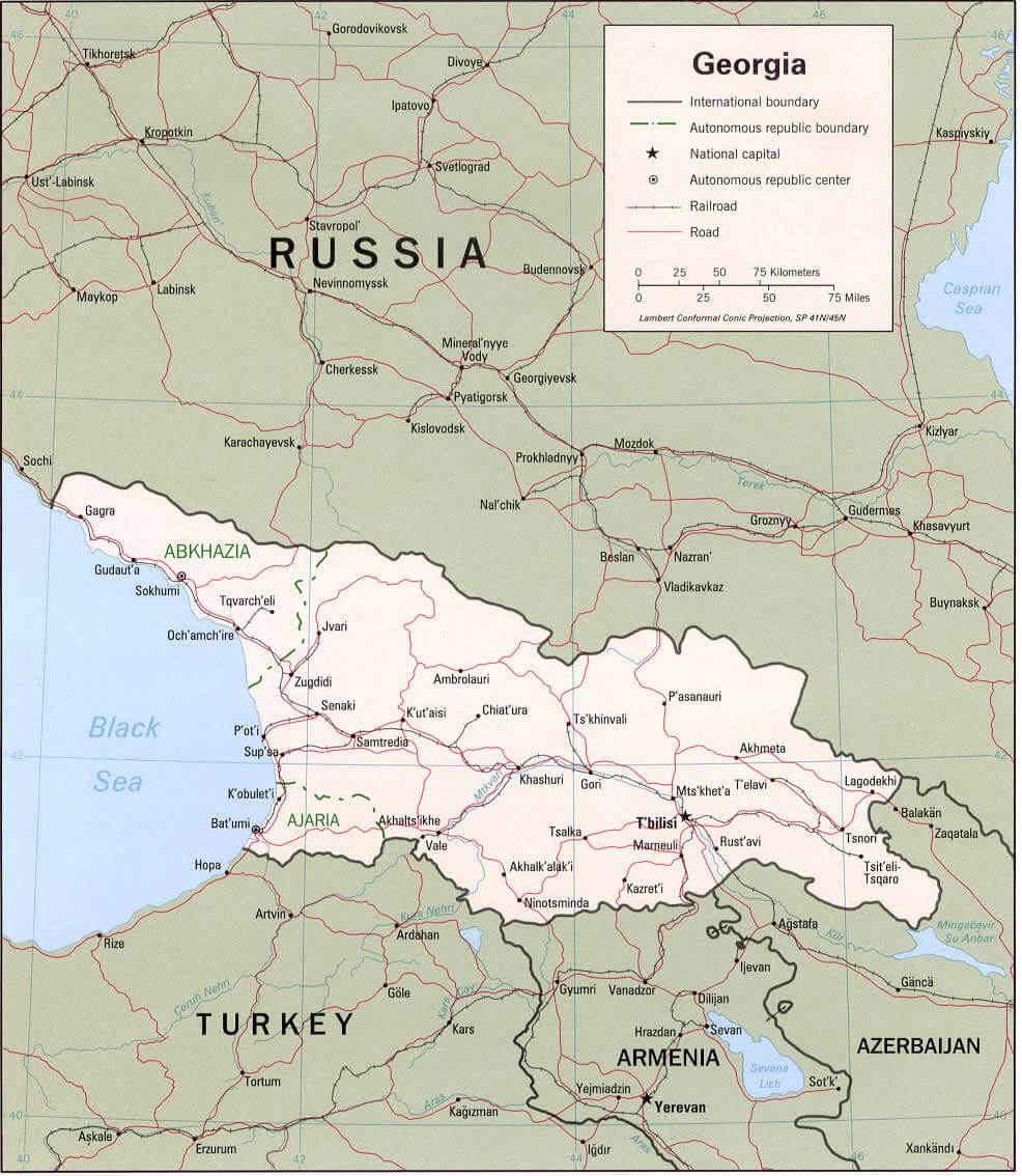 georgia political map