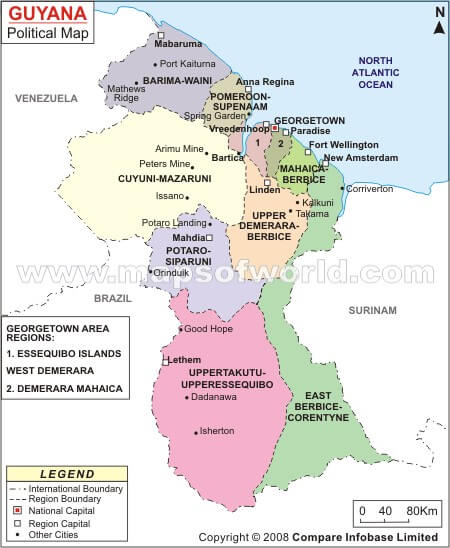 political guyana map