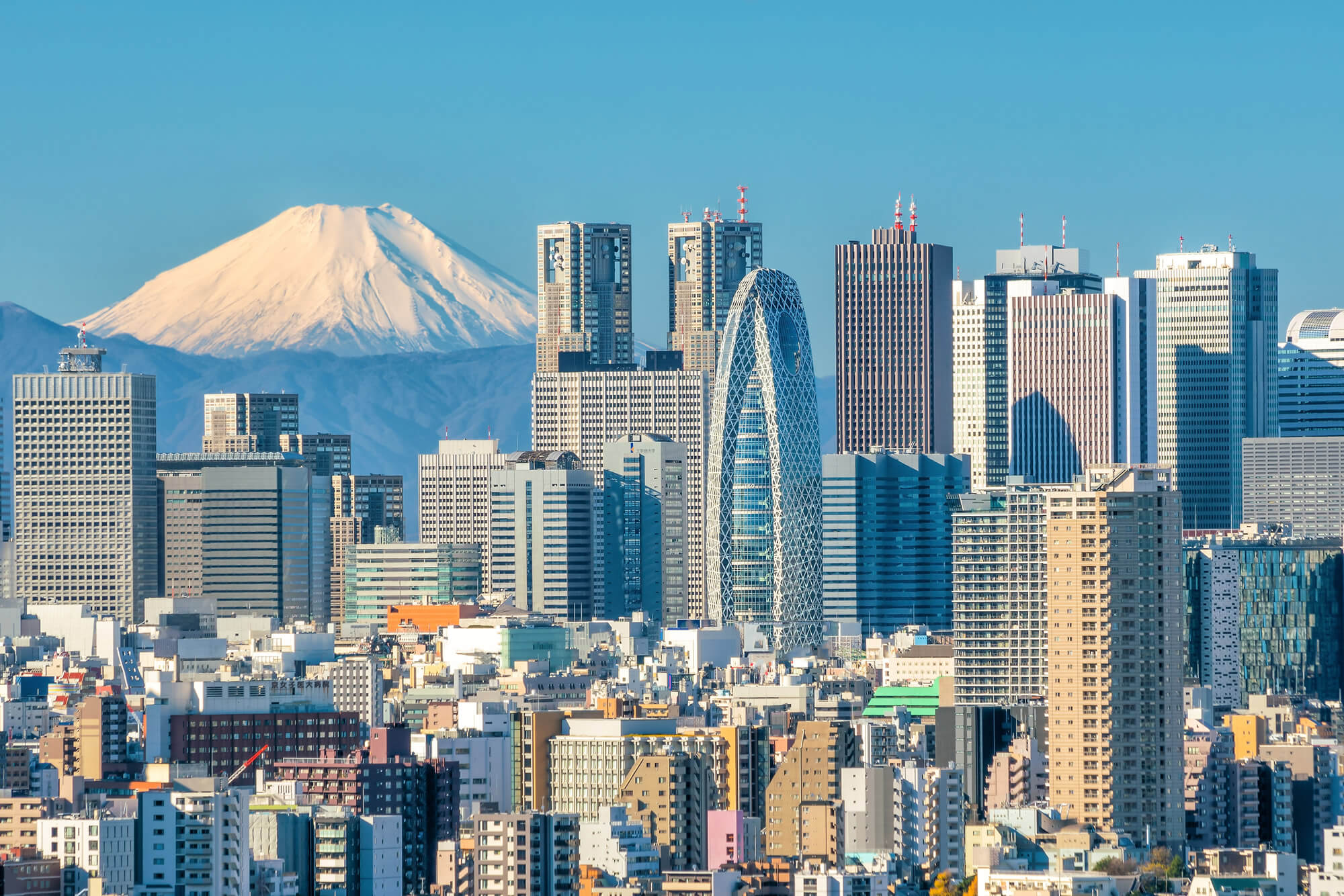 Tokyo Skylines, Mountain Fuji, Japan