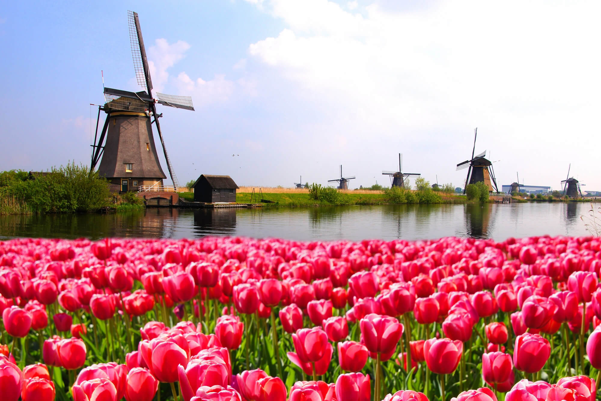 Dutch Windmills, Netherlands