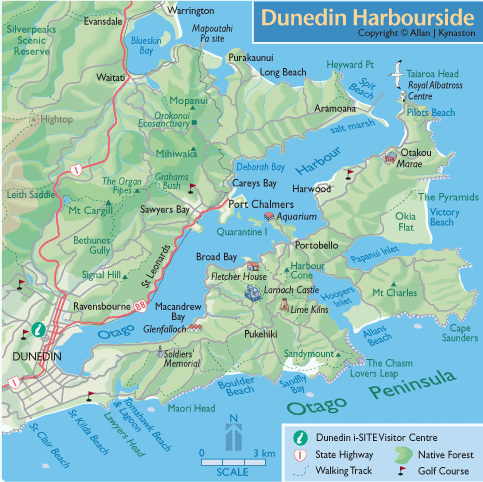 map of Dunedin