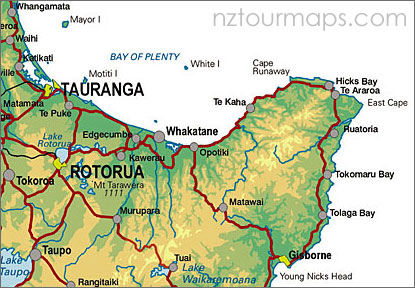 map tauranga