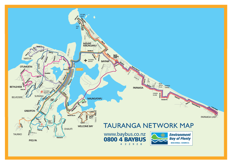 tauranga network map