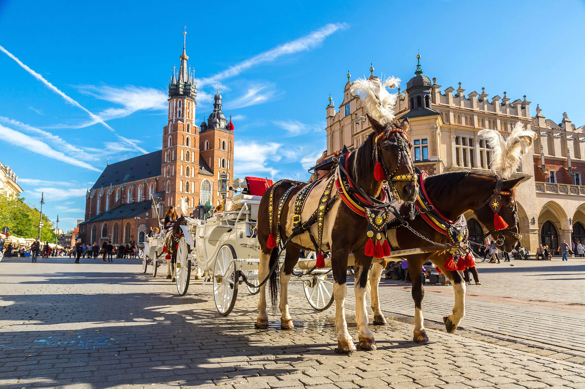 Horse Carriages in Krakow
