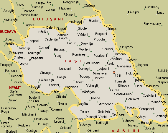 Iasi province map