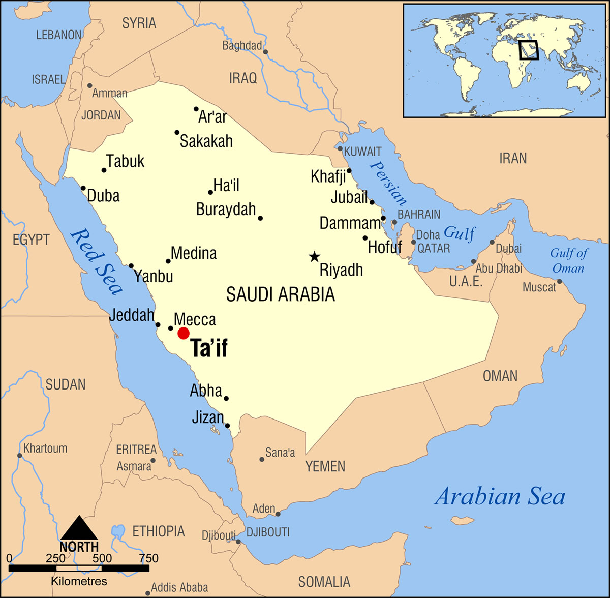 At Taif Saudi Arabia map