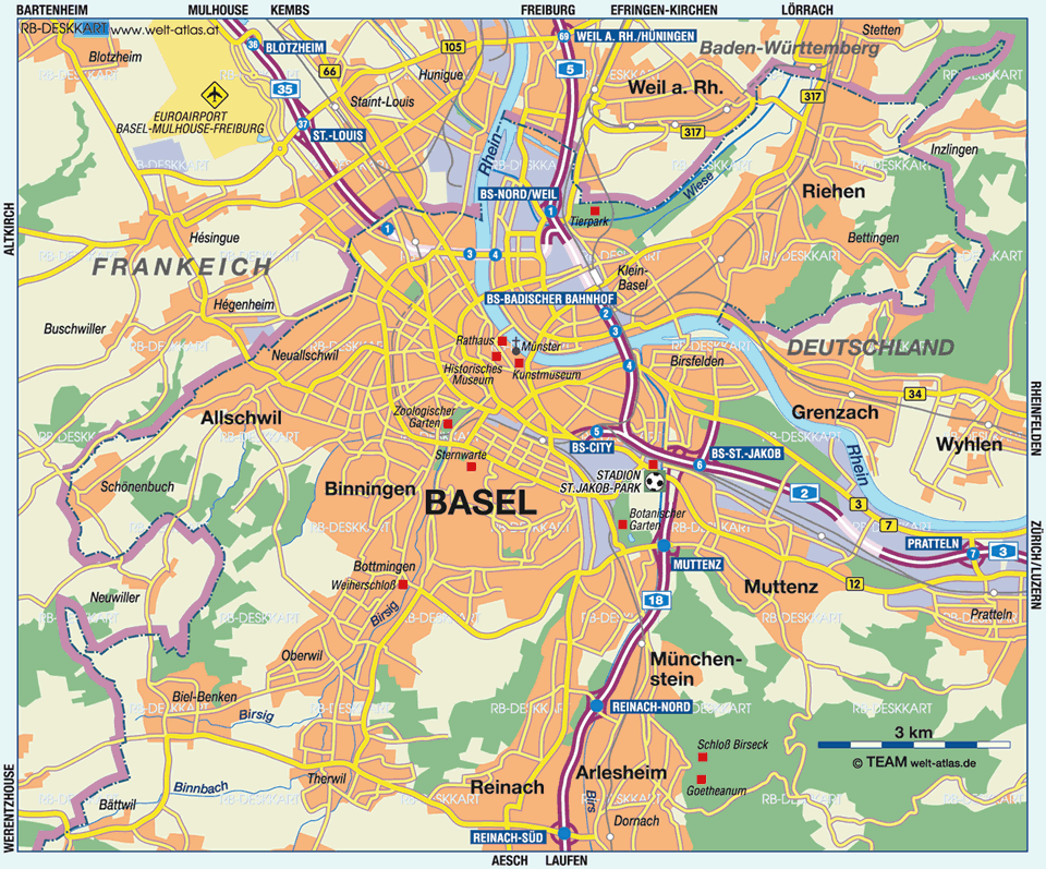 Reinach basel map