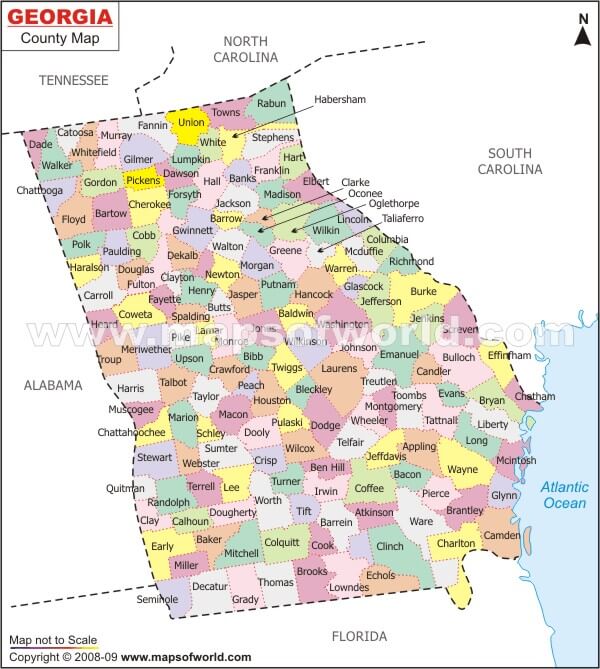 Georgia County Map US