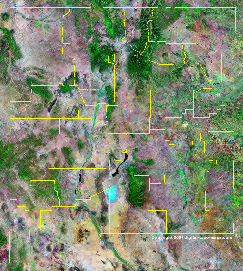 New Mexico Satellite Image
